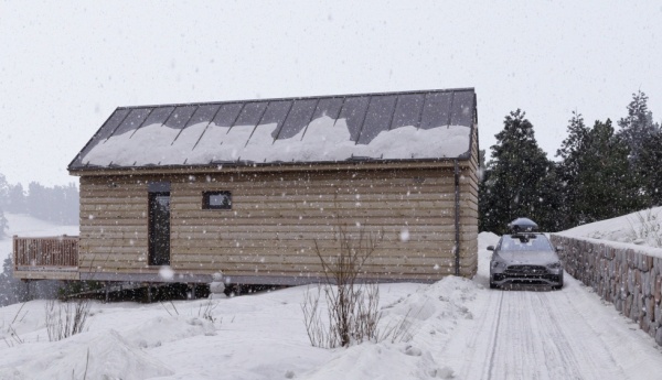 12 - Image 2